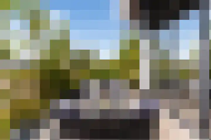 Grote Woerdlaan 44 Naaldwijk thumbnail 51