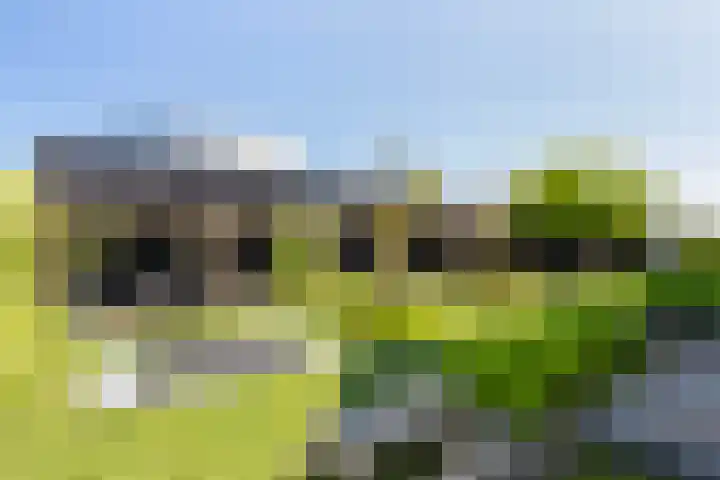 Grote Woerdlaan 44 Naaldwijk thumbnail 52