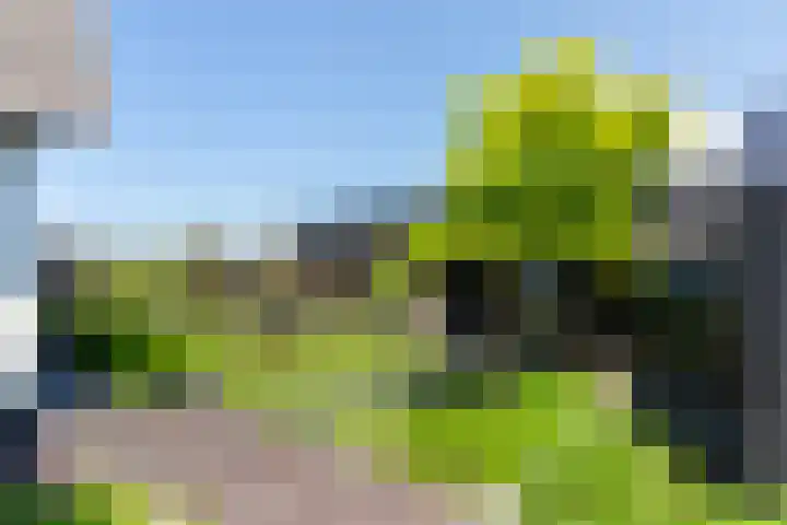 Grote Woerdlaan 44 Naaldwijk thumbnail 54