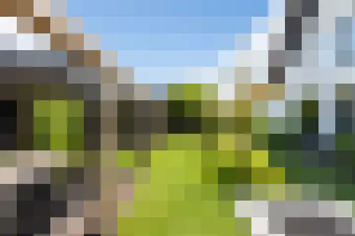 Grote Woerdlaan 44 Naaldwijk thumbnail 58