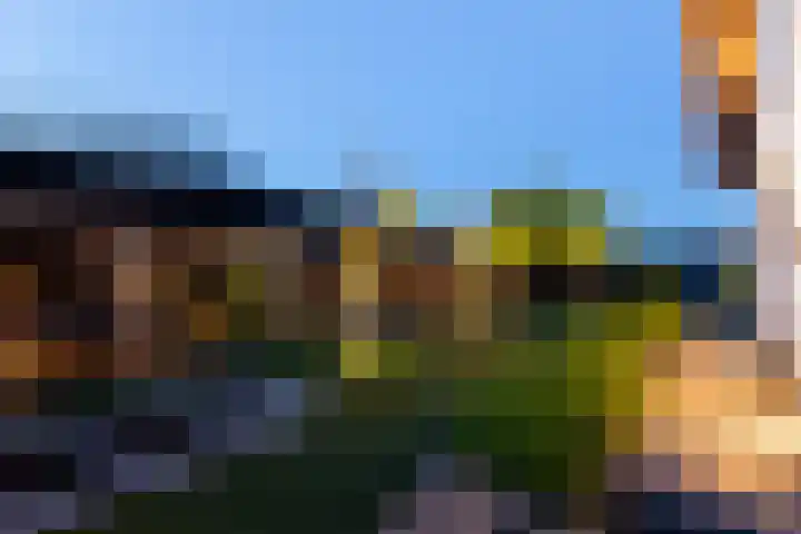 Grote Woerdlaan 44 Naaldwijk thumbnail 59