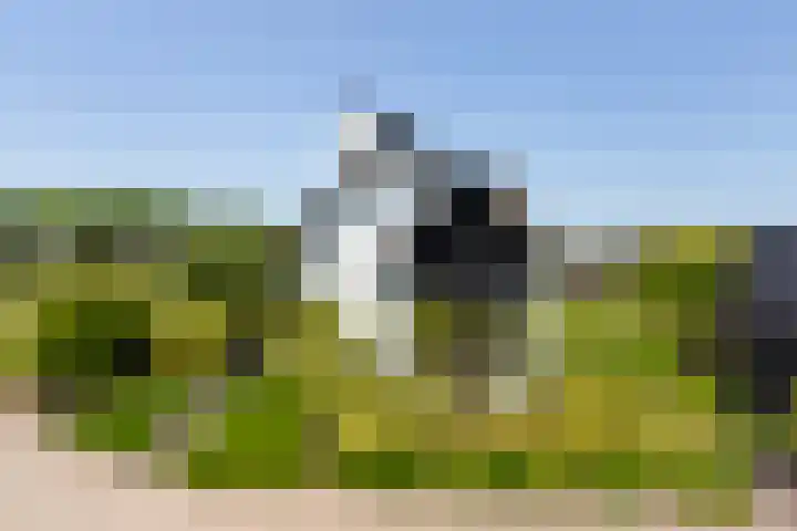 Grote Woerdlaan 44 Naaldwijk thumbnail 6