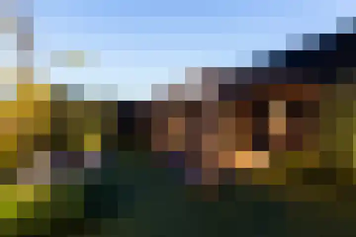 Grote Woerdlaan 44 Naaldwijk thumbnail 65
