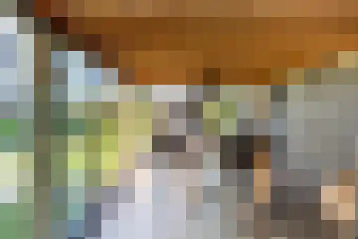 Grote Woerdlaan 44 Naaldwijk thumbnail 69