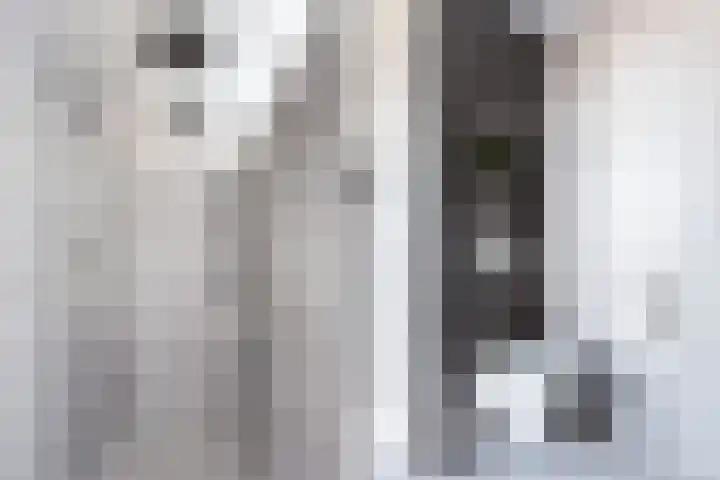 Grote Woerdlaan 44 Naaldwijk thumbnail 85