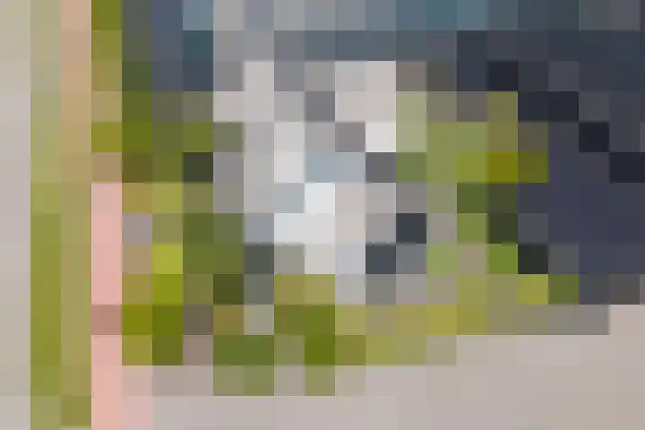 Grote Woerdlaan 44 Naaldwijk thumbnail 97
