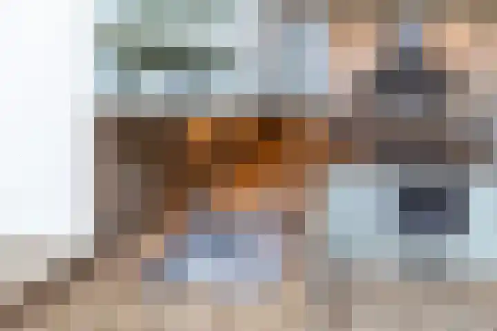 Grote Woerdlaan 8 B Naaldwijk thumbnail 11