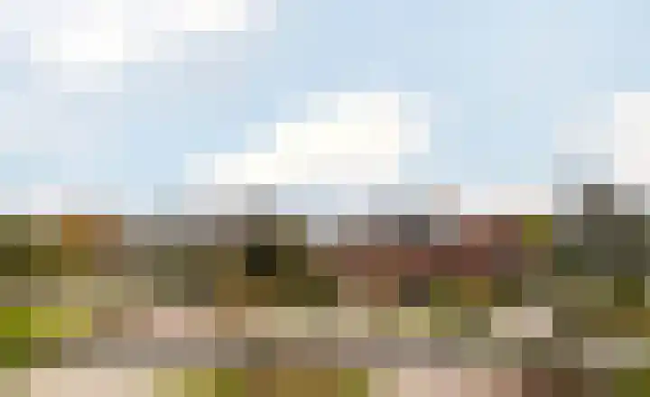 Grote Woerdlaan 8 B Naaldwijk thumbnail 13