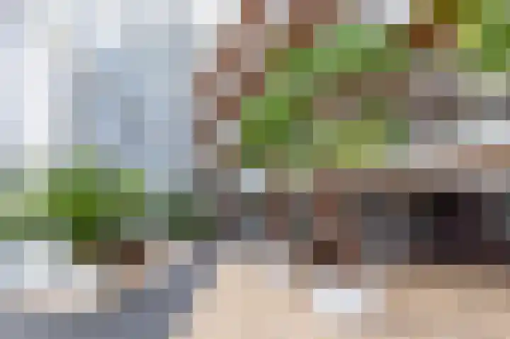 Grote Woerdlaan 8 B Naaldwijk thumbnail 24