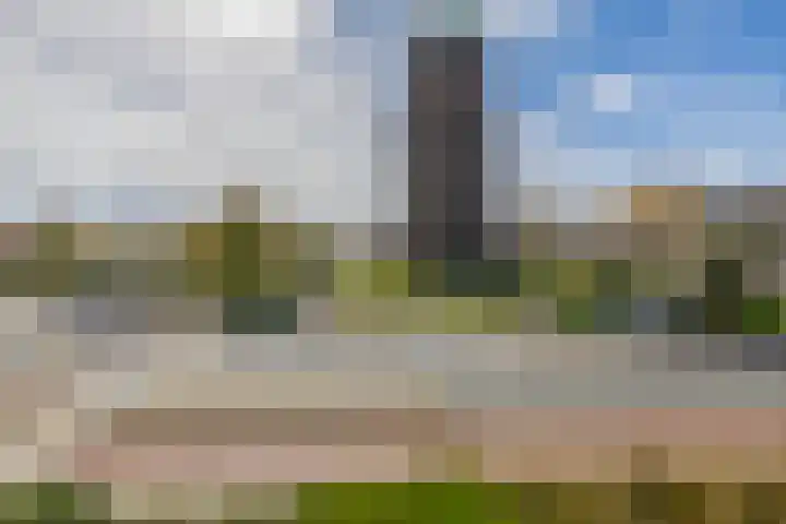Grote Woerdlaan 8 E Naaldwijk thumbnail 12