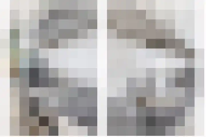 Grote Woerdlaan 8 E Naaldwijk thumbnail 14