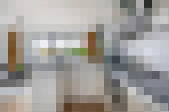 Grote Woerdlaan 8 E Naaldwijk thumbnail 15