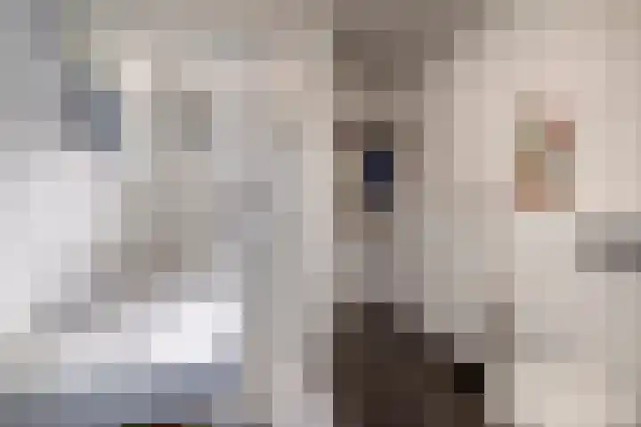 Grote Woerdlaan 8 E Naaldwijk thumbnail 21