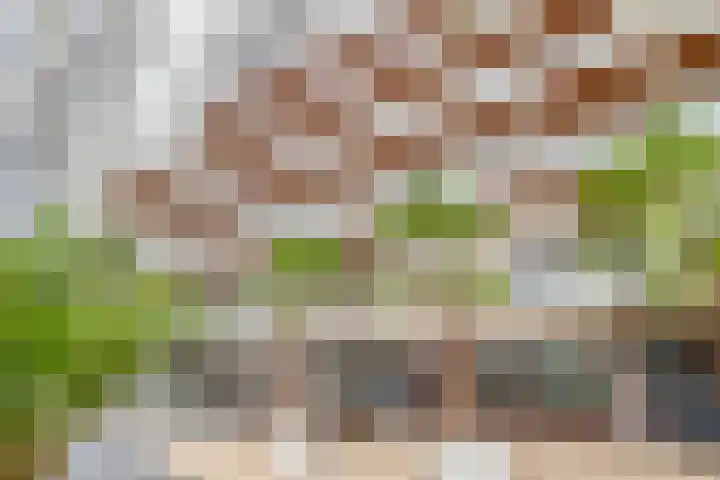 Grote Woerdlaan 8 E Naaldwijk thumbnail 24