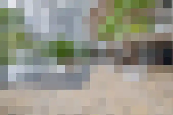 Grote Woerdlaan 8 E Naaldwijk thumbnail 25