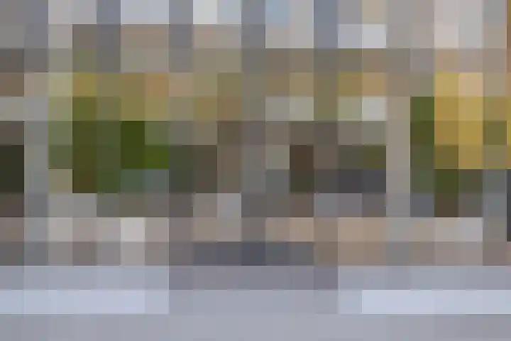 Grote Woerdlaan 8 E Naaldwijk thumbnail 26