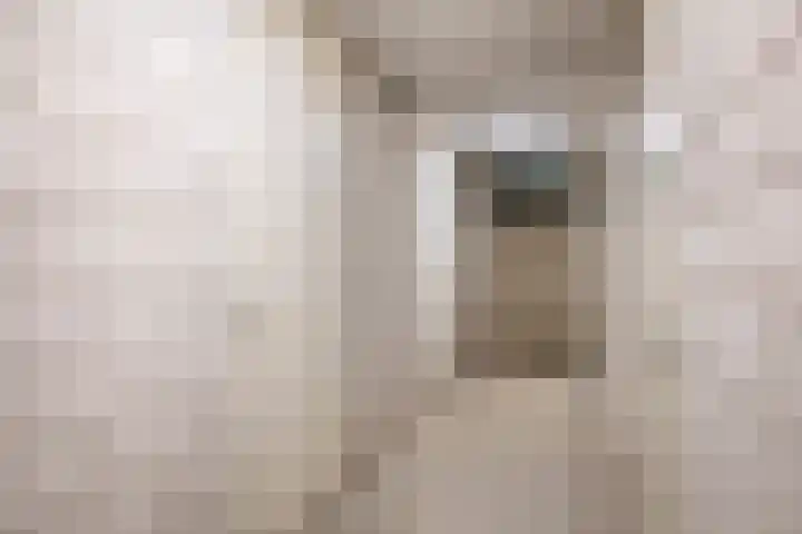Grote Woerdlaan 8 E Naaldwijk thumbnail 29
