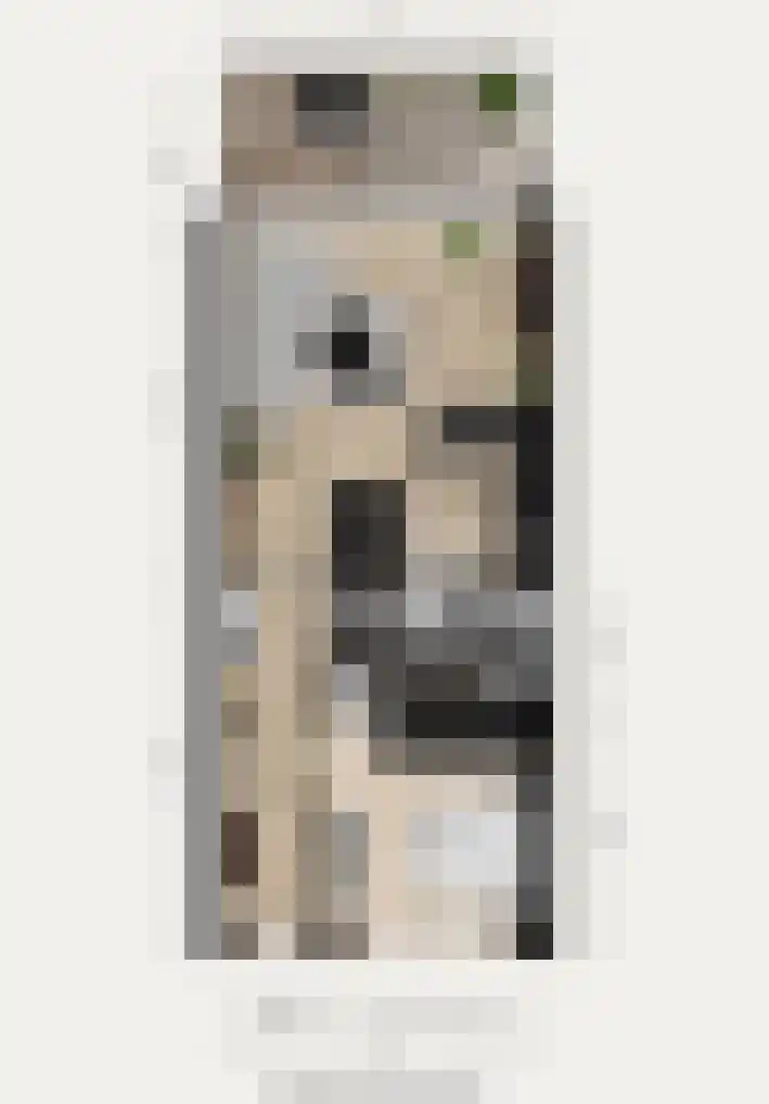 Grote Woerdlaan 8 E Naaldwijk thumbnail 35