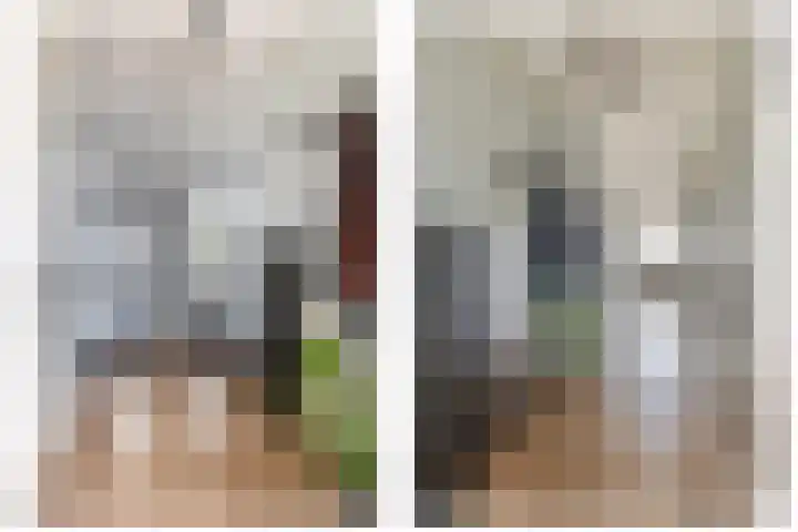 Grote Woerdlaan 8 E Naaldwijk thumbnail 7