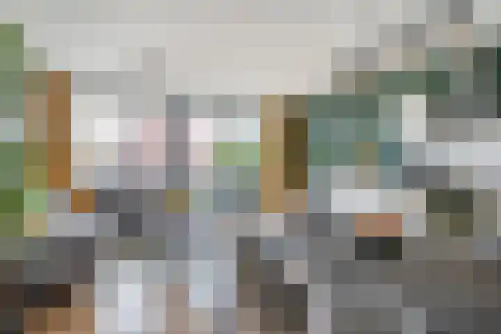 Grote Woerdlaan 8 E Naaldwijk thumbnail 8