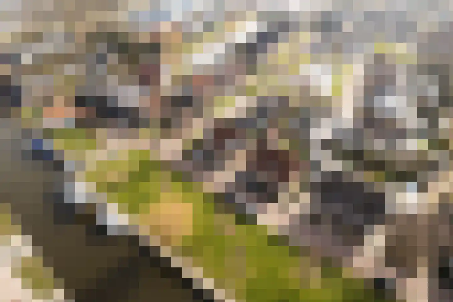 Grote Zijlroede 26 Makkum thumbnail 28