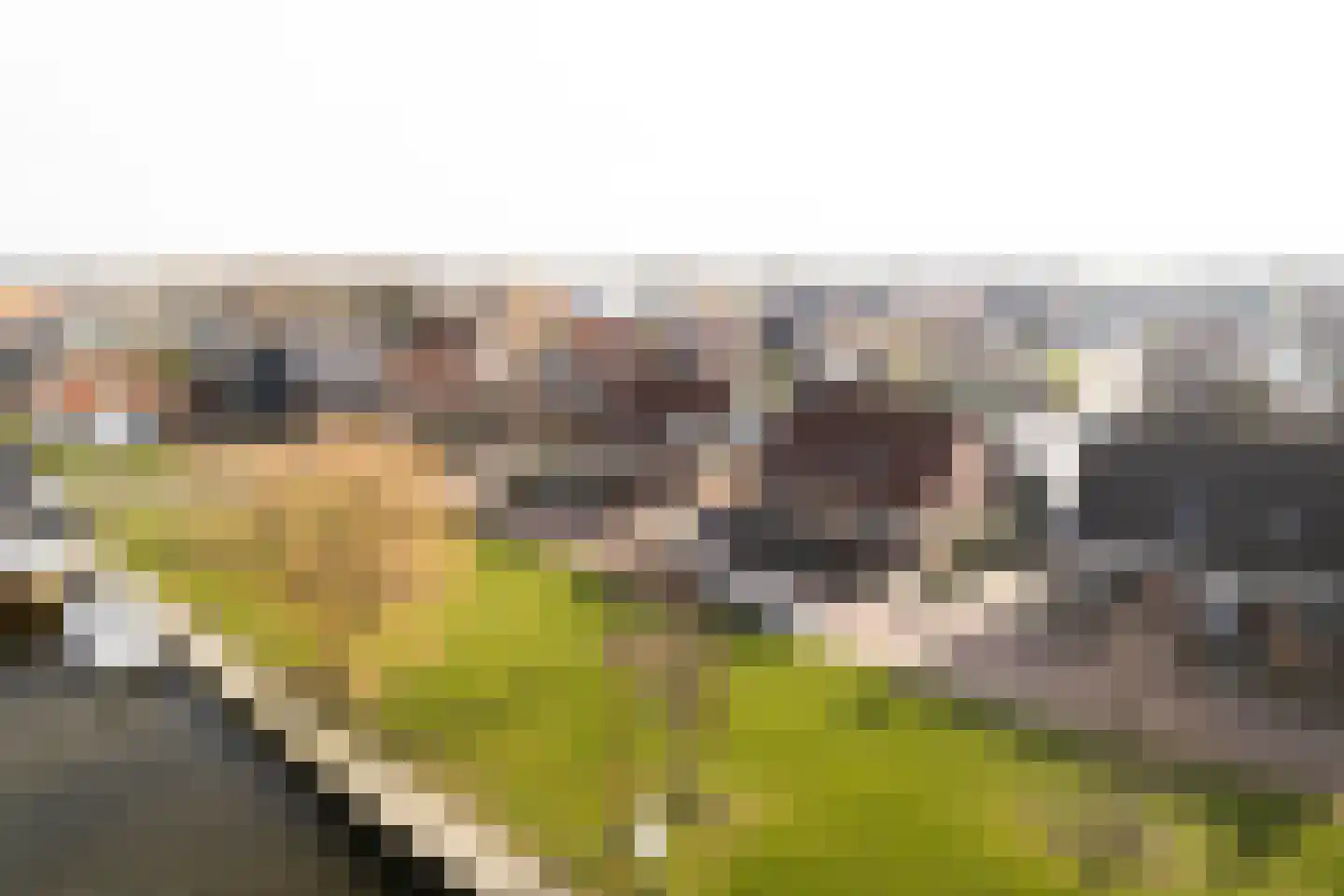 Grote Zijlroede 26 Makkum thumbnail 29