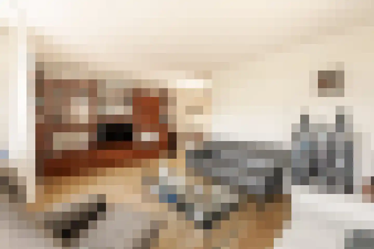 Grote Zijlroede 26 Makkum thumbnail 9