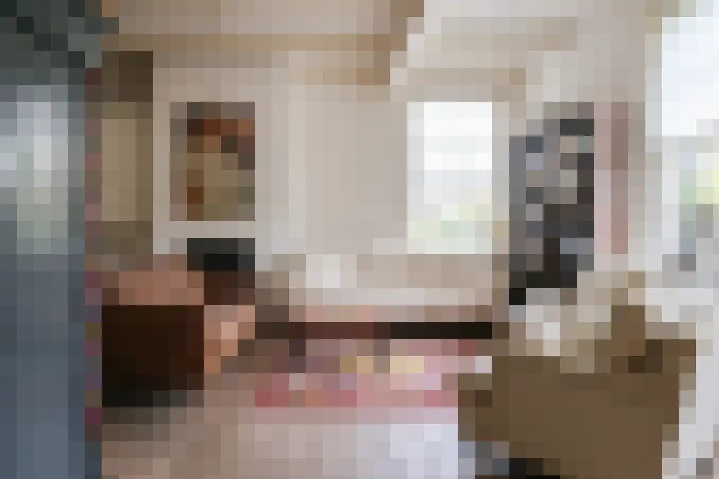 Grote Zijlroede 8 Makkum thumbnail 12