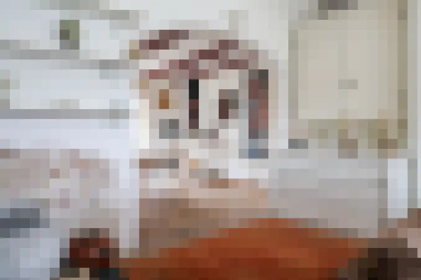 Grote Zijlroede 8 Makkum thumbnail 17