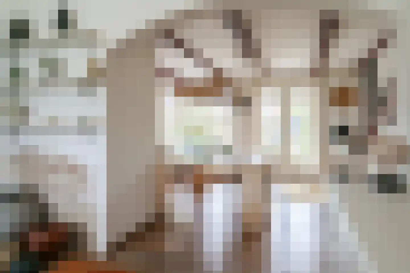 Grote Zijlroede 8 Makkum thumbnail 19