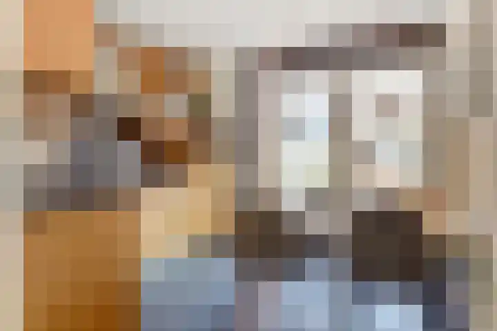 Groteblok 46 Tuitjenhorn thumbnail 12