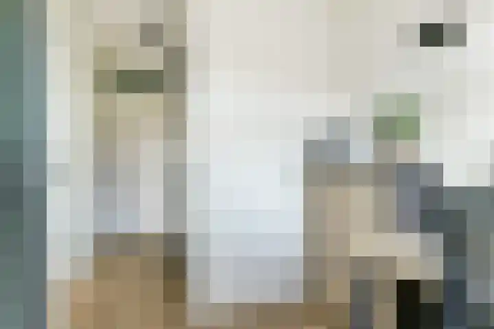 Groteblok 46 Tuitjenhorn thumbnail 21