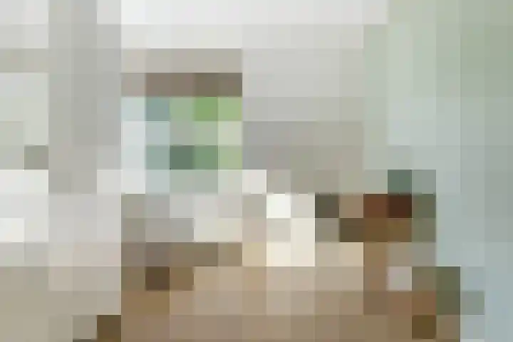 Groteblok 46 Tuitjenhorn thumbnail 22