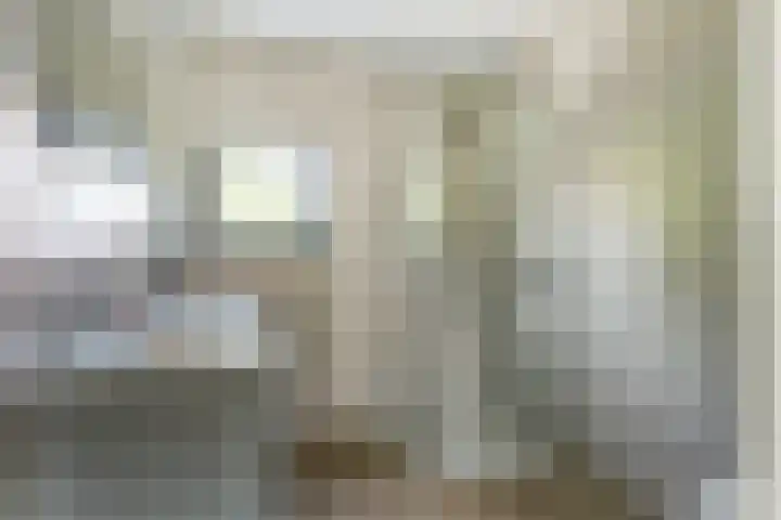 Groteblok 46 Tuitjenhorn thumbnail 24
