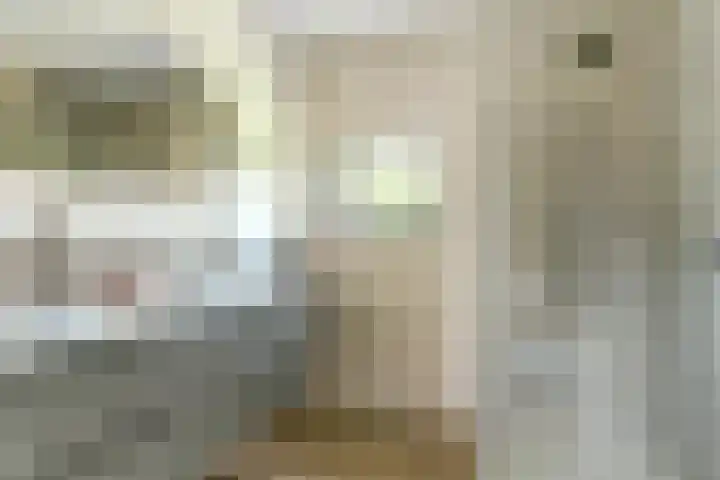 Groteblok 46 Tuitjenhorn thumbnail 25