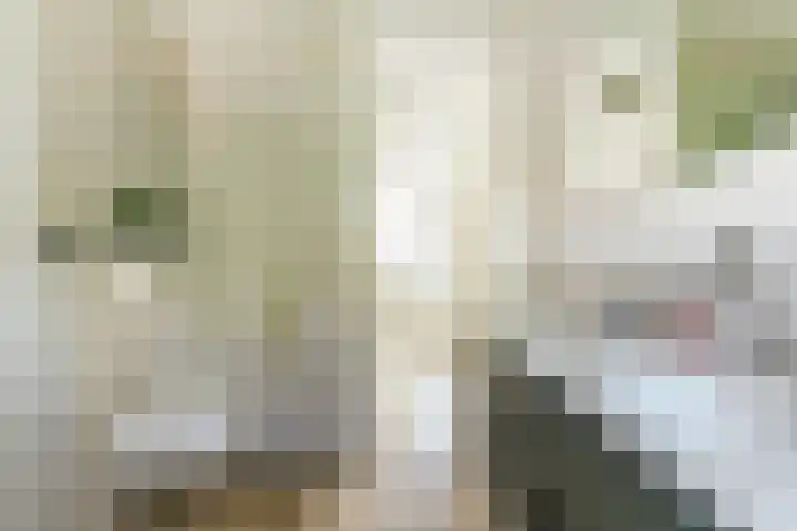 Groteblok 46 Tuitjenhorn thumbnail 27