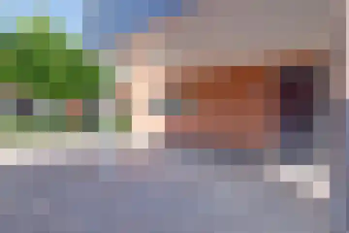 Groteblok 46 Tuitjenhorn thumbnail 37