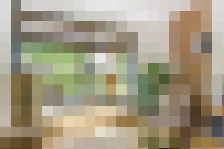 Groteblok 46 Tuitjenhorn thumbnail 7