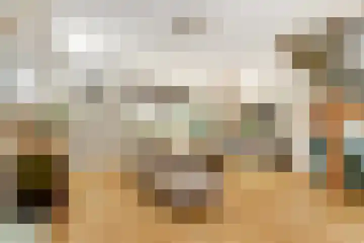 Groteblok 46 Tuitjenhorn thumbnail 8