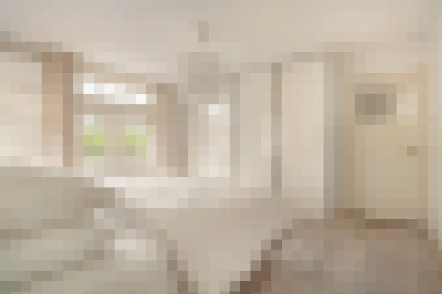 Grotebrugse Grintweg 101 a Tiel thumbnail 35