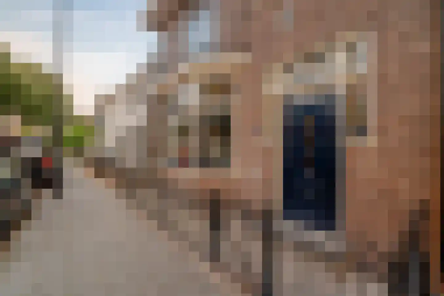Grotebrugse Grintweg 101 a Tiel thumbnail 6