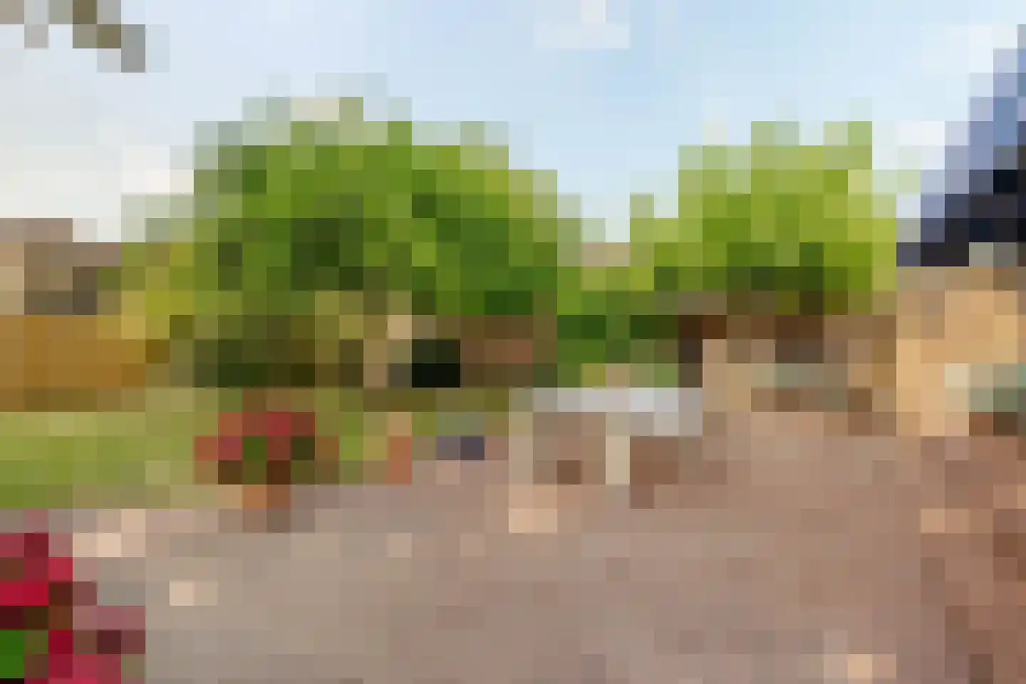 Grotebrugse Grintweg 101 a Tiel thumbnail 62