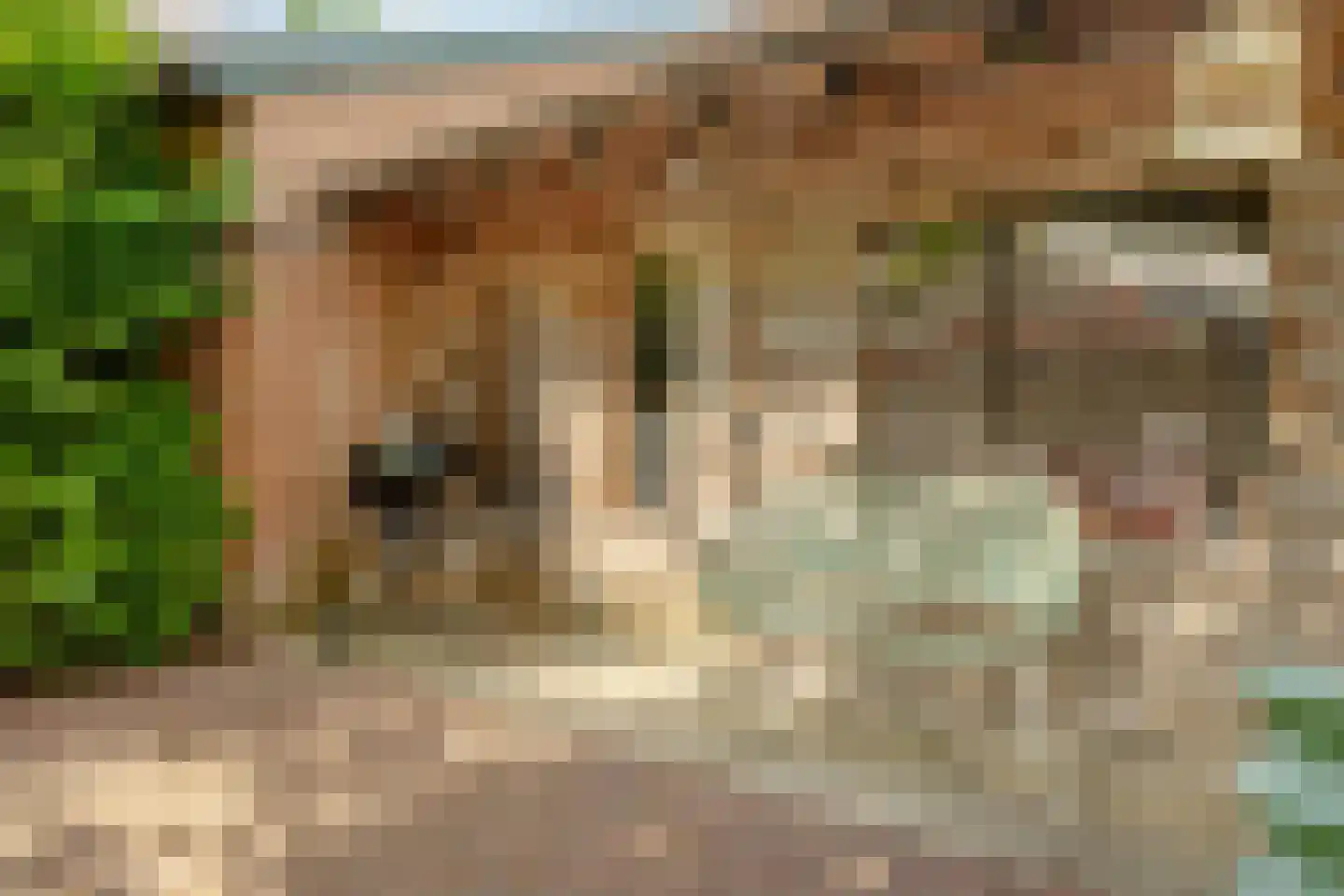 Grotebrugse Grintweg 101 a Tiel thumbnail 65