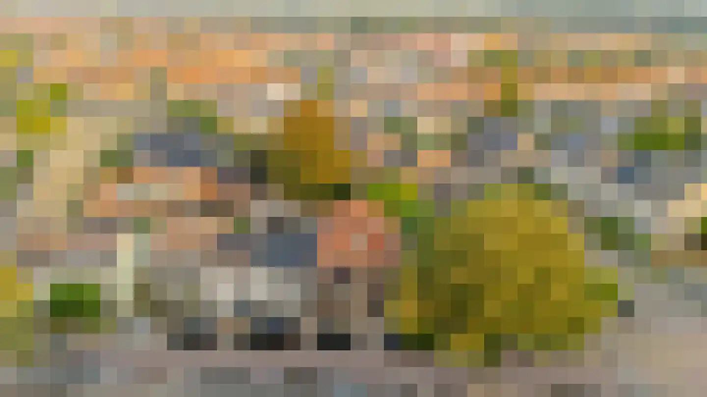 Grotebrugse Grintweg 101 a Tiel thumbnail 72