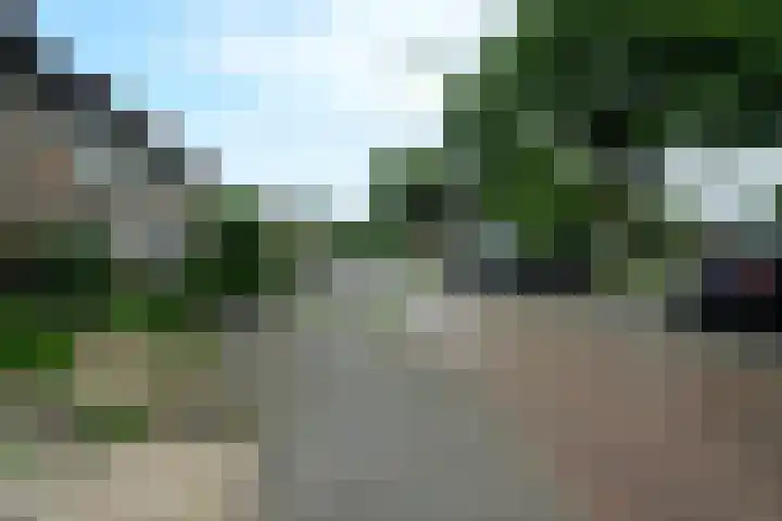 Grotebrugse Grintweg 111 Tiel thumbnail 12