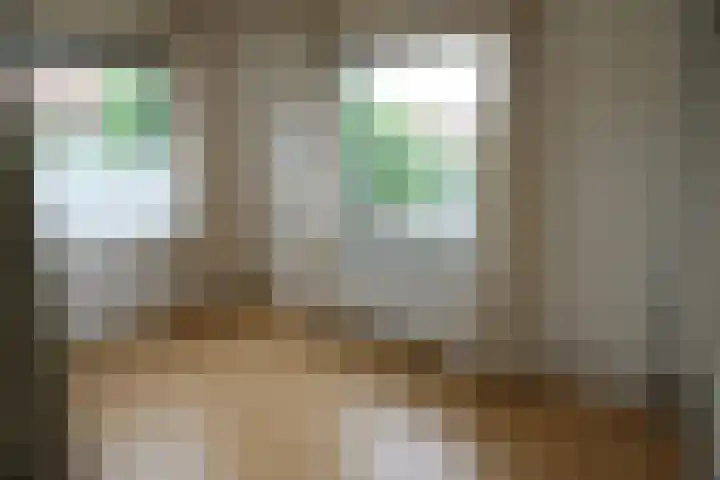 Grotebrugse Grintweg 111 Tiel thumbnail 5