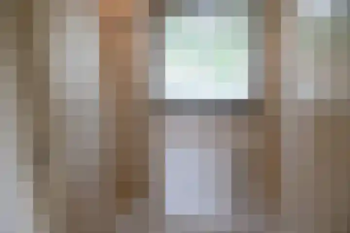 Grotebrugse Grintweg 111 Tiel thumbnail 8