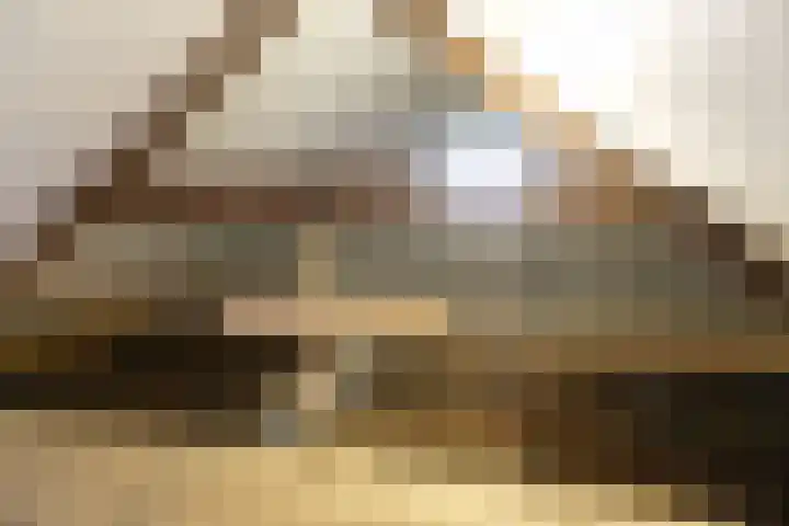 Grotebrugse Grintweg 111 Tiel thumbnail 9