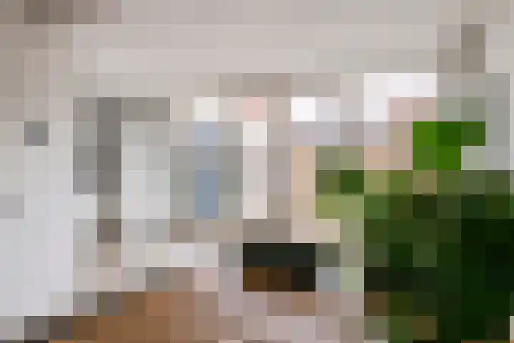 Grotebrugse Grintweg 113 Tiel thumbnail 10