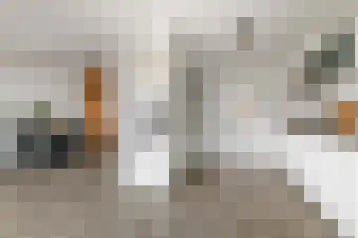 Grotebrugse Grintweg 113 Tiel thumbnail 13
